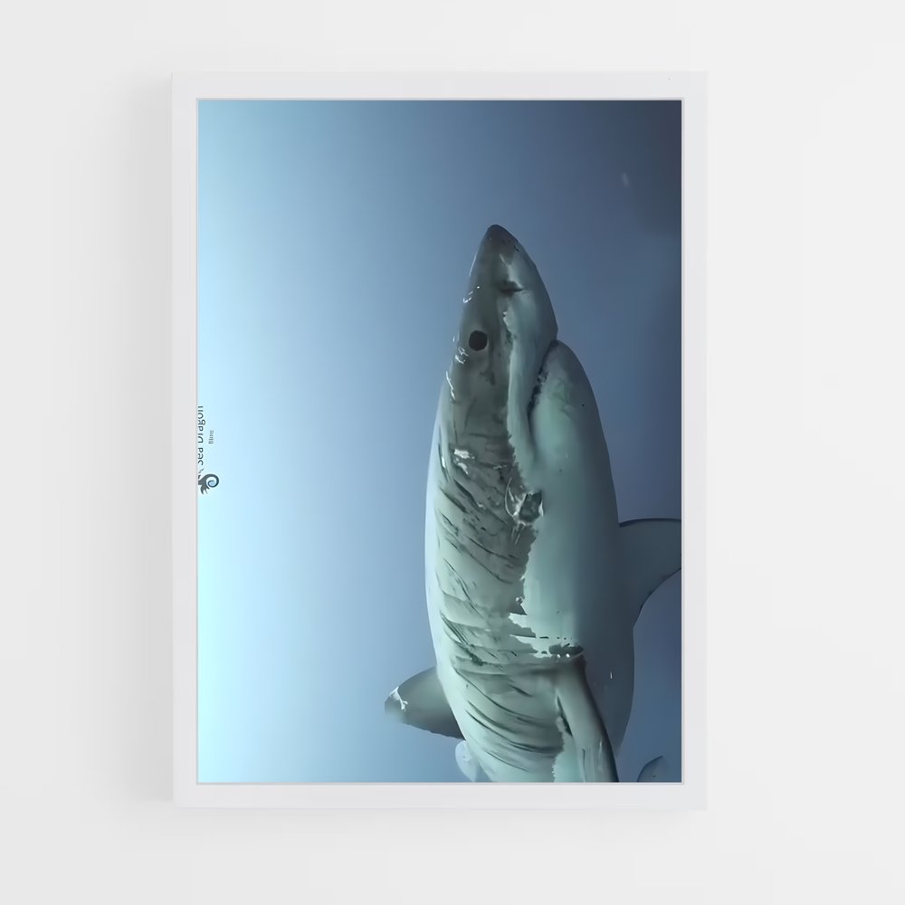 Poster Les Profondeurs Sauvages – affiche Plongée sous-marine (vue 3)
